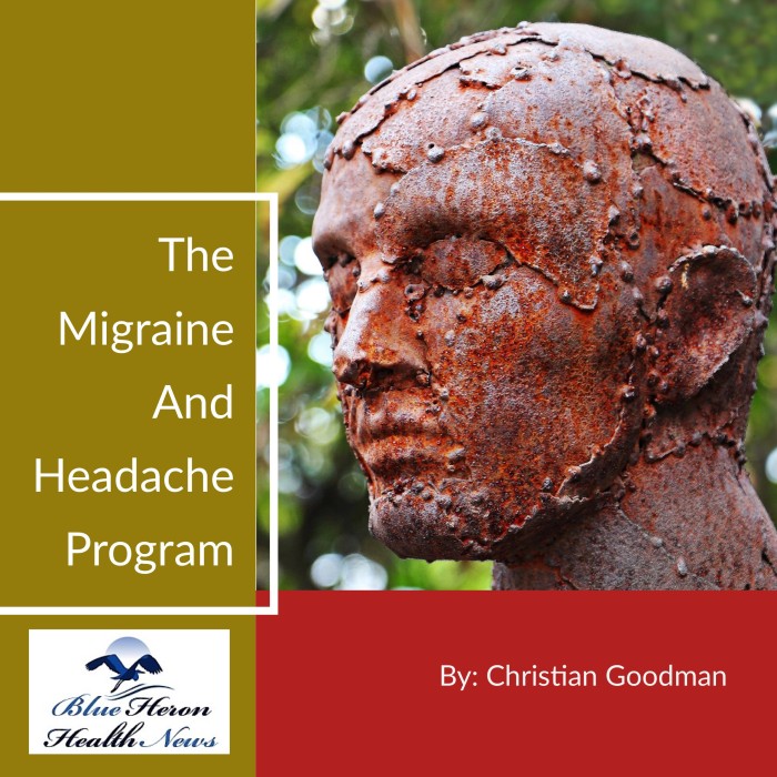 The Migraine & Headache Program